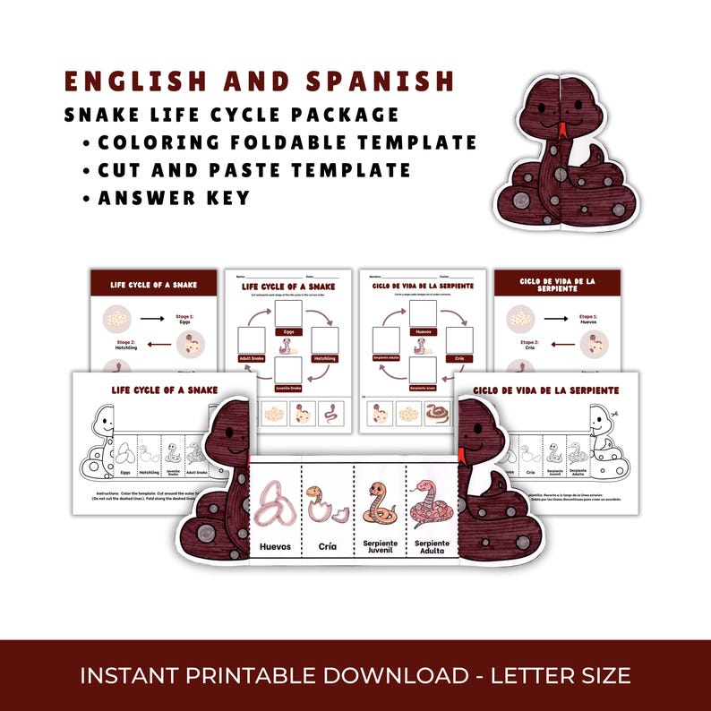 Snake Life Cycle Bilingual Worksheet Bundle | English & Spanish ...