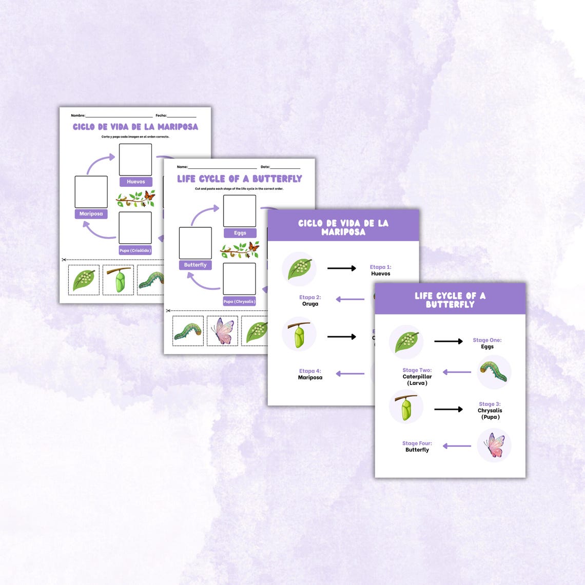 Butterfly Life Cycle Bilingual Worksheet Bundle | English & Spanish ...
