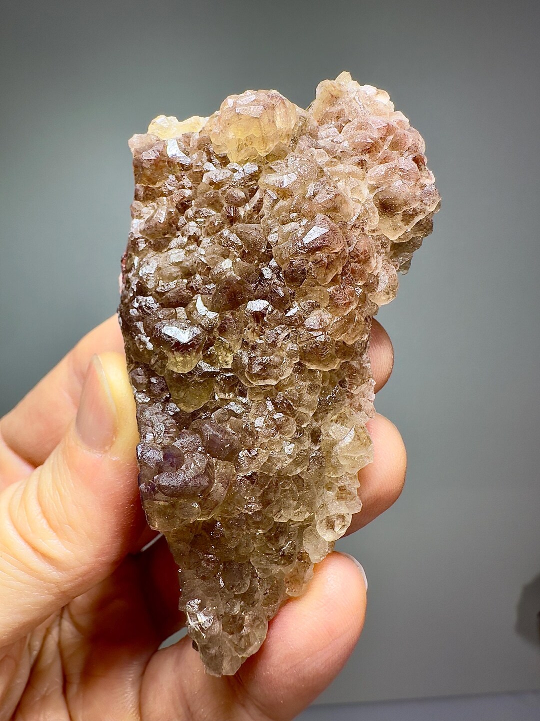 Botryoidal Red-brown Fluorite – San Antonio Mine, Santa Eulalia, Mexico ...
