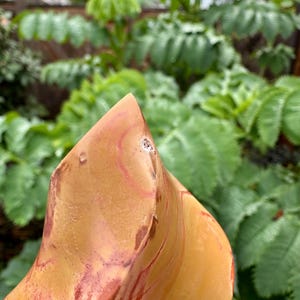 Polychrome Jasper Flame - Madagascar Polished Specimen image 7