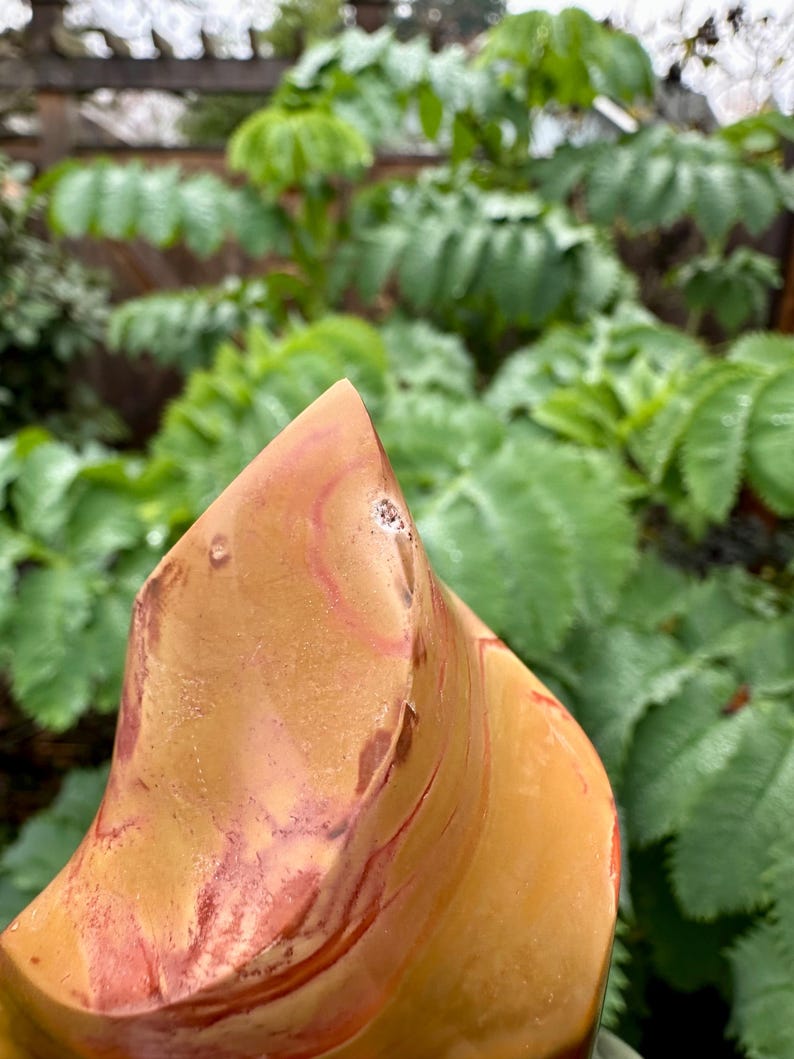 Polychrome Jasper Flame - Madagascar Polished Specimen image 7