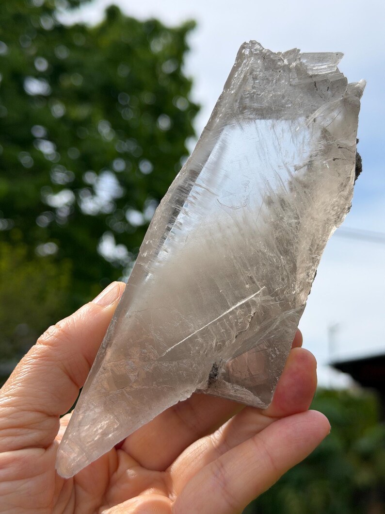Transparent Clear Selenite Crystal Section – La Platosa Mine Durango ...