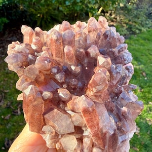 May include: A cluster of reddish-brown quartz crystals with multiple points and facets. The crystals are tightly packed together, creating a textured, natural formation. The quartz has a translucent quality, with variations in color and clarity.
