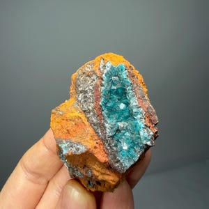 May include: A close-up of a mineral specimen featuring vibrant colors. The rock has a rough, textured surface with a bright orange exterior. A central cavity reveals a cluster of sparkling, turquoise-blue crystals. The specimen also displays areas of silver and red.