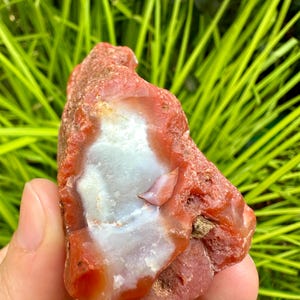 Mozambique Agate Rough- 2.75inch, 120g  - Also known as Swazi Agate from Africa (A-14)