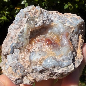 May include: A rough, natural geode with a mix of colors. The exterior is a mottled gray and tan, while the interior reveals translucent, amber-colored crystals and a hint of blue. The geode is held in a hand.