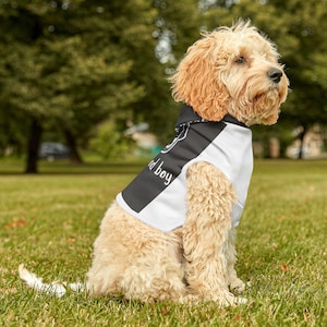 Pet hoodie, dog clothes, gifts for your furry friend, dog hoodie, gifts for pet, pet apparel