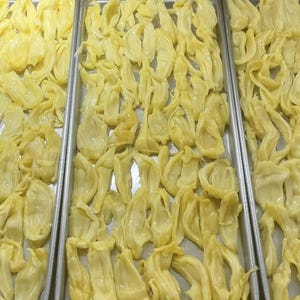 Freeze-Dried Jackfruit Snack: Crunchy, Vegan Tropical Fruit