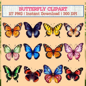 Butterfly Clipart Bundle: 117 PNG Graphics, Printable Stickers (Digital Download) Transparent 300 DPI