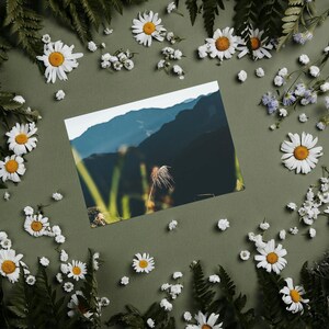 Confezione da 10 cartoline "Just Because" - Cartoline Wanderlust - Cartoline di viaggio panoramiche per amici di penna e idee regalo