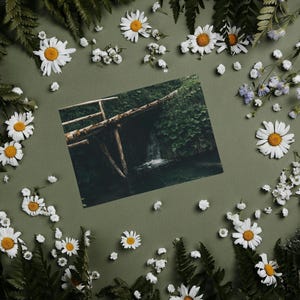 Just Because Postcards Pack of 10 - Postcards for Travelers – Scenic Photo Cards to Share, Send, or Collect