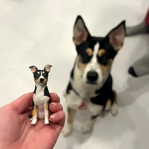 Custom Dog Wedding Cake Toppers, Personalized Pet Birthday Cake Toppers, Dog Statue Dolls, Dog Birthday gifts, Cat Anniversary Gifts