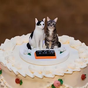 Custom dog cat wedding cake toppers, dog birthday cake toppers, pet figurines, cat anniversary gifts, Christmas figurine gifts, cat parties