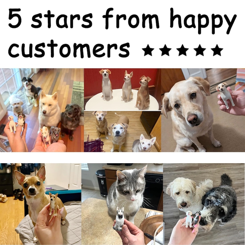 Recur Cats And Dogs Animal Figurines Desk Pets Miniature Figure Cake Topper, 100% Hand-Painted, Mini Pets Figure For Kids - 12 Pcs