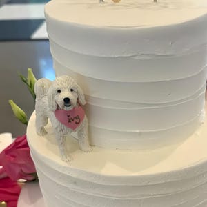Personalized custom wedding cake toppers, dog wedding cake toppers, cat birthday gifts, dog anniversary gifts, cat cake toppers, pet statues