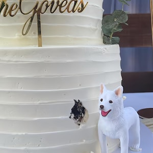 custom pet dog wedding cake toppers, custom dog birthday figurines, pet party cake toppers, cat wedding cake toppers, dog birthday toppers