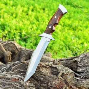 May include: A hunting knife with a polished steel blade and a dark wood handle. The handle has a silver bolster and a silver cap. The knife is resting on a piece of wood, with a green background.