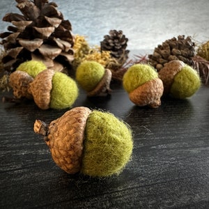 Felted wool acorns, set of 6, Fern Green, handmade felt waldorf acorns, green felt acorn, gifts for teachers, fall decor, pantone greenery image 1