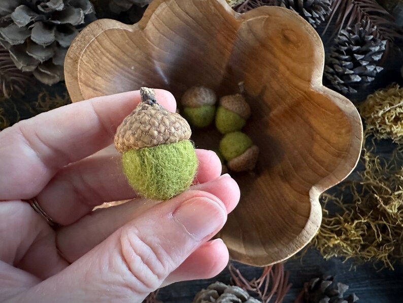 Pu&ograve; includere: Una mano tiene una ghianda di feltro con un cappello marrone e un fondo di feltro verde. La ghianda &egrave; circondata da altre ghiande in una ciotola di legno.