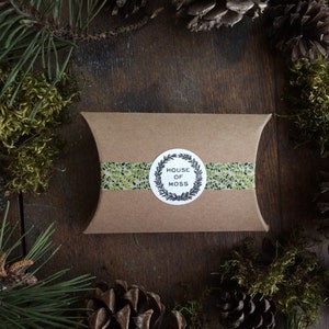 Pu&ograve; includere: Una scatola a cuscino di carta marrone con un adesivo bianco che dice "House of Moss" in una ghirlanda nera. La scatola &egrave; circondata da rami di pino e muschio.