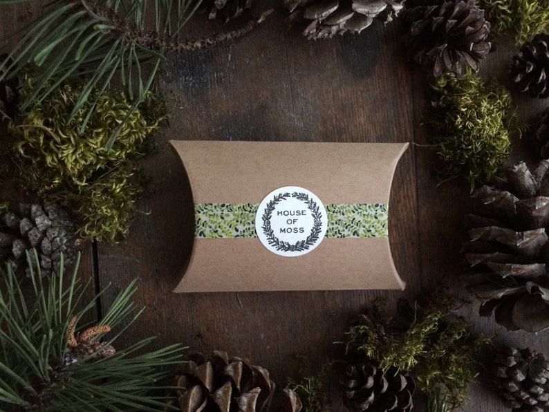 Pu&ograve; includere: Una scatola a cuscino di carta marrone con un adesivo bianco che dice "House of Moss" in una ghirlanda nera. La scatola &egrave; circondata da rami di pino e muschio.