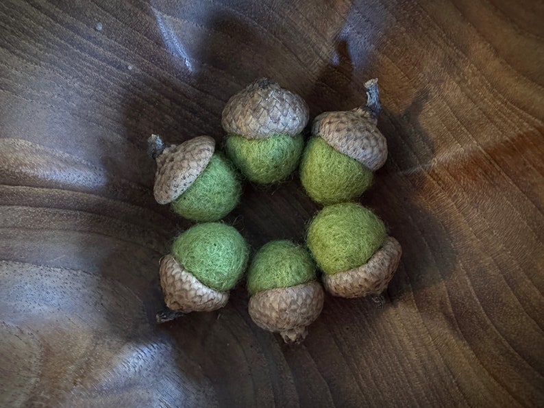Pu&ograve; includere: Sei ghiande di feltro in cerchio su una superficie di legno. Le ghiande sono marroni con cime di feltro verde.
