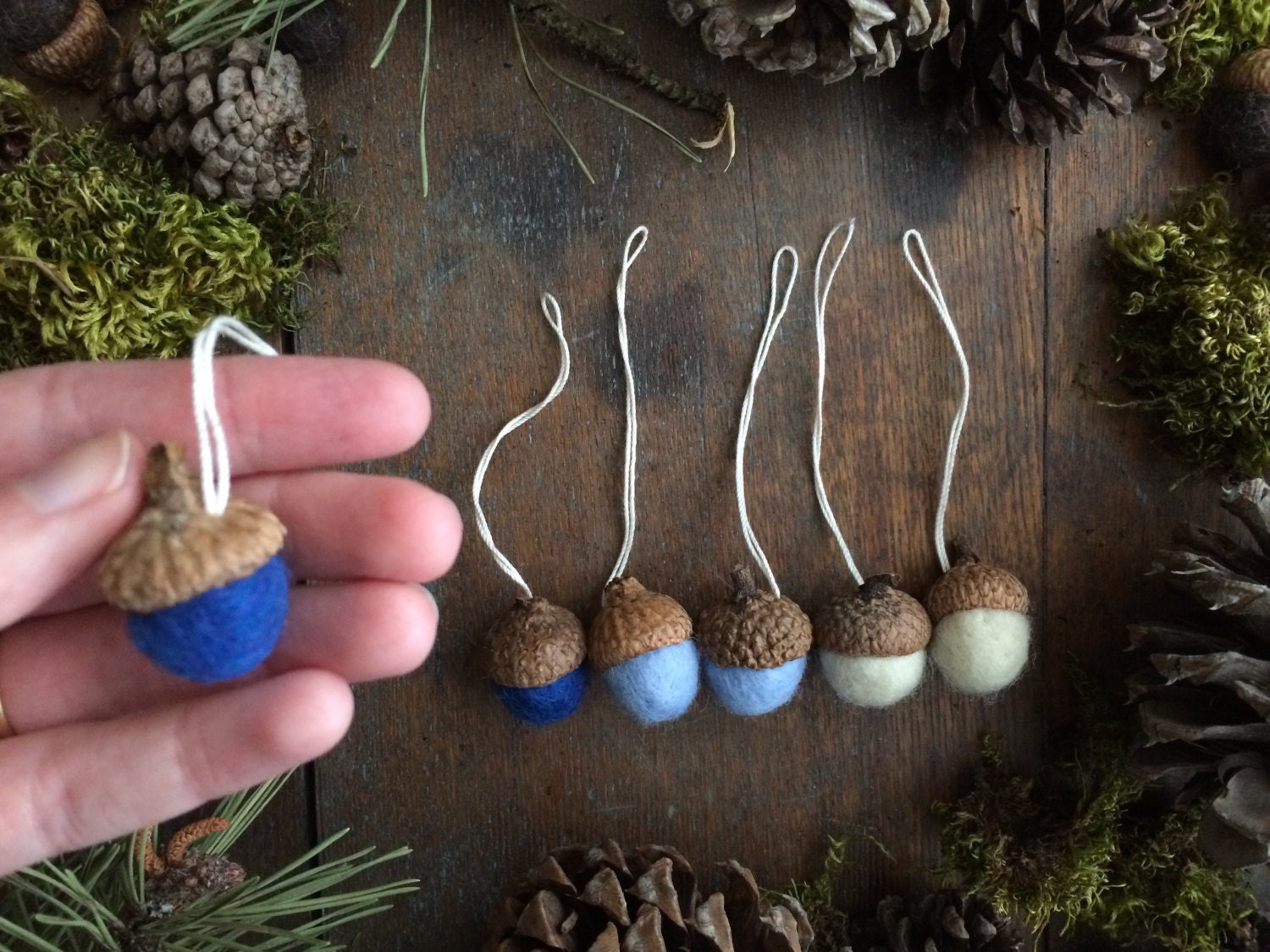 blue acorn reviews