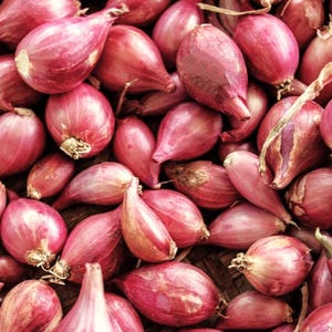 May include: A collection of raw shallots with smooth, reddish-purple papery skins. The bulbs are oval and teardrop-shaped, clustered together to show their varying sizes and textures, with some dried stem remnants visible at the pointed ends.