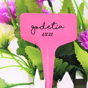 May include: A bright pink T-shaped plant marker featuring the black printed text godetia and the date 4.12.22. The marker has a flat rectangular top section and a pointed stake base, positioned in front of artificial purple and white flowers.