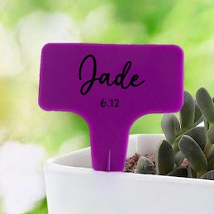 May include: A purple T-shaped plant marker with a stake, featuring the name Jade in a black cursive script and the date 6.12 printed in a simple black font. The marker is positioned in a white pot containing a small green succulent plant.