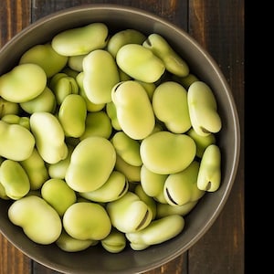 May include: A round, dark brown bowl filled with a large quantity of fresh, raw fava beans. The beans are light green, oval-shaped, and smooth, each featuring a distinct dark brown or black line along the side where they were attached to the pod.