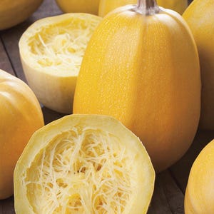 Peut inclure: Une collection de courges spaghetti jaunes, comprenant des courges entières de forme ovale et des spécimens coupés en deux révélant la chair intérieure pâle, fibreuse et filandreuse. Les écorces sont lisses, fermes et jaune vif.