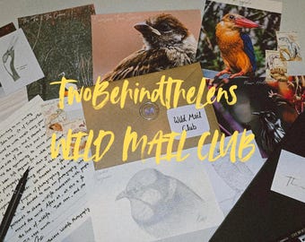 TwoBehindTheLens Wild Mail Club | Handwritten Letters | Mystery Stickers | Animal Postcards | Wildlife Photography