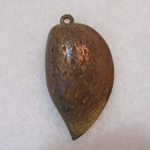 May include: A brown, metallic, shell-shaped pendant with a textured surface and a loop at the top for hanging.