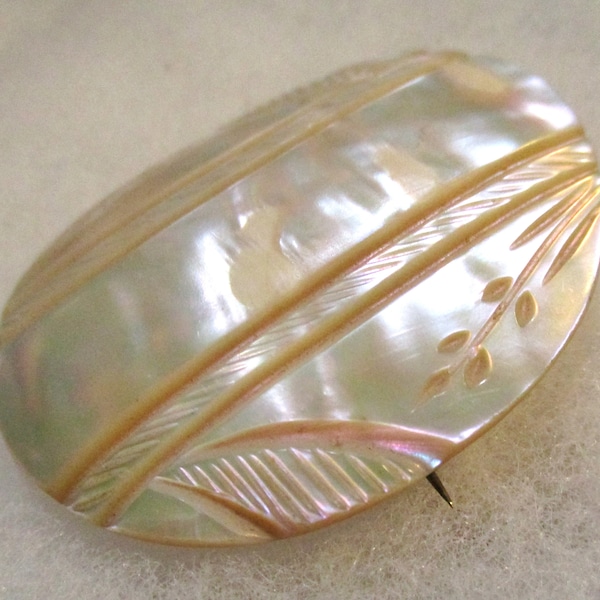 Antique Circa 1915 Carved Mother of Pearl Shell  Brooch Pin, 2 Inches by 1 1/2 Inches, 1 Piece (CRMI)