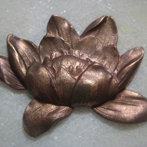 Vintage Water Lily, 1940s Art Nouveau Flower Stamping, French Die Struck Raw Brass Finding, Dark Patina, Made in France, 42x36mm,  1 pc.