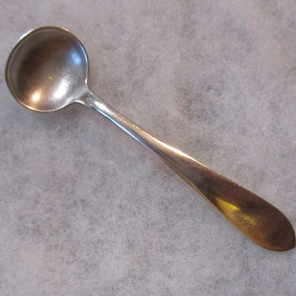 Antique Circa 1870 Sterling Silver Salt Spoon "Wadefield" Pattern by S. Kirk & Son, 3 Inches Long, 1 Spoon (CRMI)