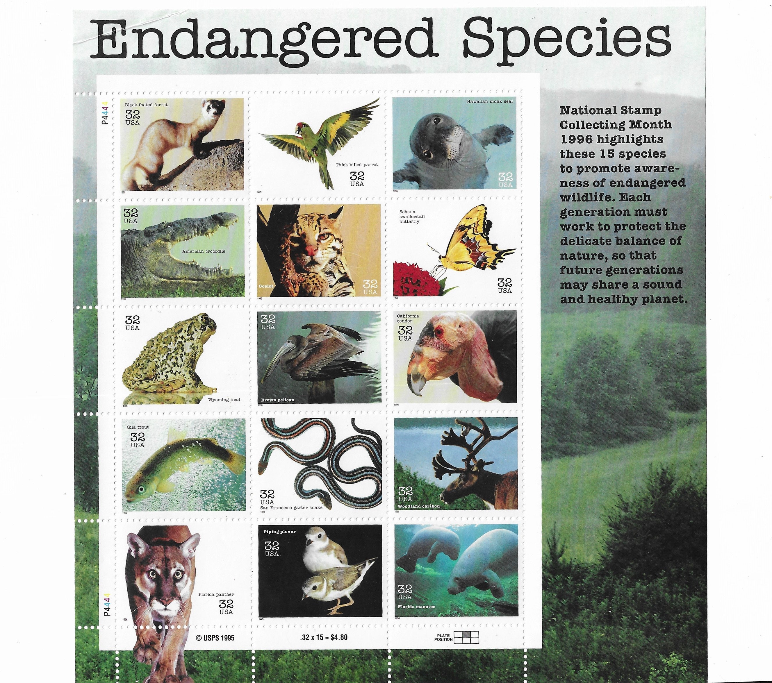 Endangered Animals - Etsy Endangered Animals - Etsy