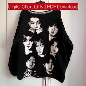 Brei- en haakpatroon portret – 3-kleuren jacquard / intarsia / haakpatroon wandtapijt | Digitale pdf-download | K-pop fanartontwerp