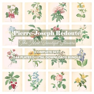 Pierre-Joseph Redouté Complete Set - 144 Printable Wall Art Bundle, Most Beautiful Flowers, Printable Images, Vintage Art, Digital Download
