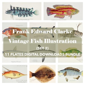 Vintage Fish Illustration Digital Download – Frank Edward Clarke Ichthyology Art Print, Antique Marine Biology Wall Art, Printable Poster