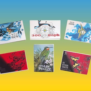 Cartes postales nature vintage des années 1980 | Lot a Cartes Faune et animaux | Rétro Oiseaux, insectes, faune éphémères