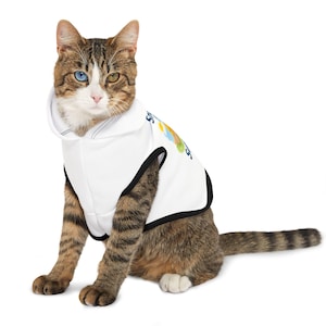 Pet Hoodie for Dogs and Cats - Cozy Dog Hoodie - Small to Large Dog Clothes - Custom Pet Outfit - Puppy Hoodie - Pet Gift