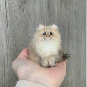Op de afbeelding: Een klein, naaldgevilte beeldje van een langharige kat met crème en beige vacht, een witte borst, donkere ogen en een kleine neus. De kat heeft een pluizige staart en gedetailleerde snorharen, vormgegeven als een realistische zittende kat.
