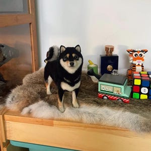 Mini felt wool dog,Felt wool crafts, Felt miniature, Small felt decorations, Gifts for her, gifts for dog lovers, Halloween, Dollhouse