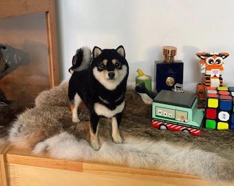 Custom Felted Pet Sculpture – Miniature Dog Portrait