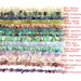 Wholesale Bulk lot Natural Gemstone Chip Beads Assorted Stone 32' Strand Bead Crystal Chip Necklace Irregular Shaped Freeform Jewelry Making 