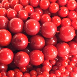 Red Bamboo Coral Bead AA Natural Gemstone Round Loose Bead 2mm 3mm 4mm 5mm 6mm 8mm 10mm 12mm 15&quot; Strand