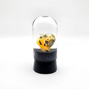 May include: A yellow and brown amber stone encased in a clear glass dome. The amber is mounted on a black base. The dome is cylindrical with a rounded top, and the base is a stepped design.