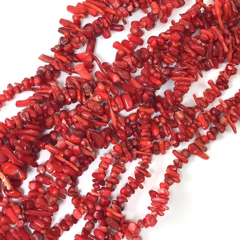 May include: A strand of red coral beads, featuring a variety of shapes and sizes. The beads are natural and have a rough, organic texture.